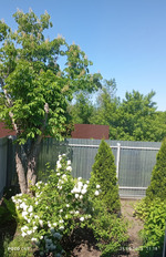 Воскресенье