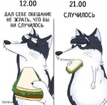 Записки садовода- огородника