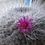 ������� ������� ��� �������� �� �������� ����������, ��� - �� ������� �����, � ������ - ������ ������, ������ ������� �����