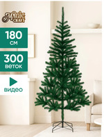 � ����� ����� ��������� 2026 ���.