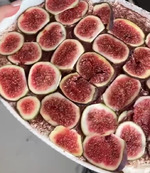 ������� �������� � �������