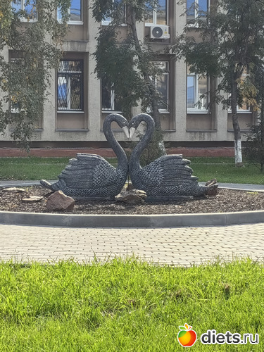 3 ����: ��������