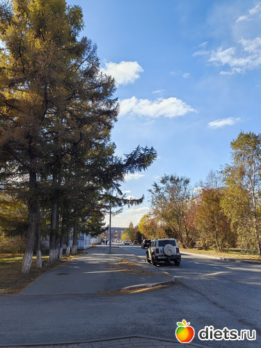 7 ����: ��������