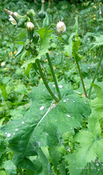 Отдых в плохую погоду