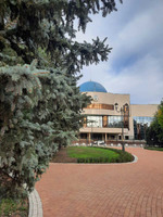 ������-��� ������! ����� ��������� ��������� ������ �� ������. ��������� �������� ������ � �� ����.