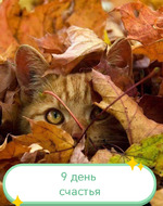 Обычных кошек не бывает)))