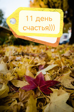 11 день счастья)))