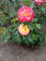 Воскресенье