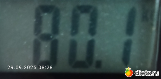 98 фото: Вес...