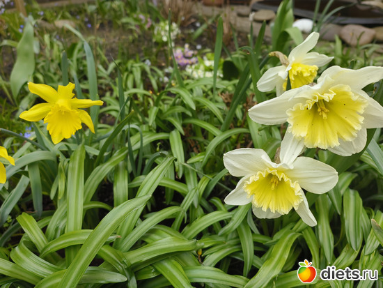 13 ����: ������� ���