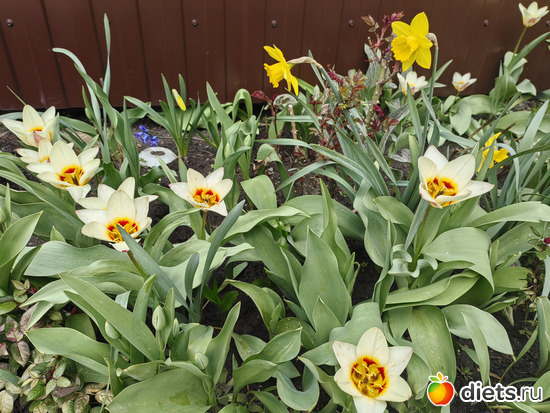 �����, ������� ����� �������� ������, ����� �� ����� ������ �������., ������: ������� ���