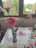 7 ������