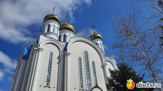 98 ����: 2025/26 ��������� �����