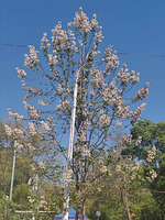 14 ������ �������