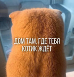 ������� 14 - � ������