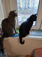 ����� - ����� ����������)) 14.04.2026