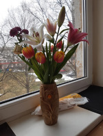 �������� ������ ����, ������� ��������� �������