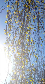 ���������� �������