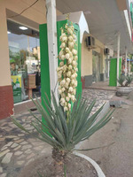 18 ������