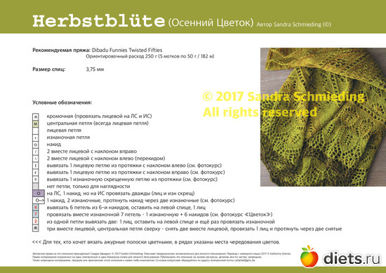 3 ����: �������� ������ ��  Sandra Schmieding