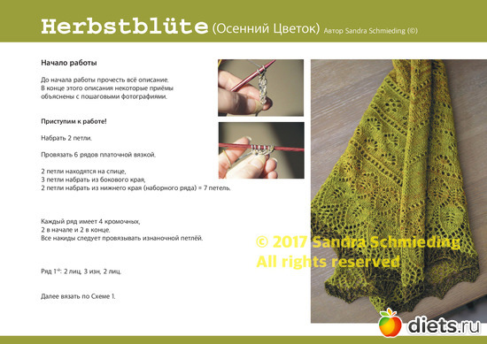 4 ����: �������� ������ ��  Sandra Schmieding