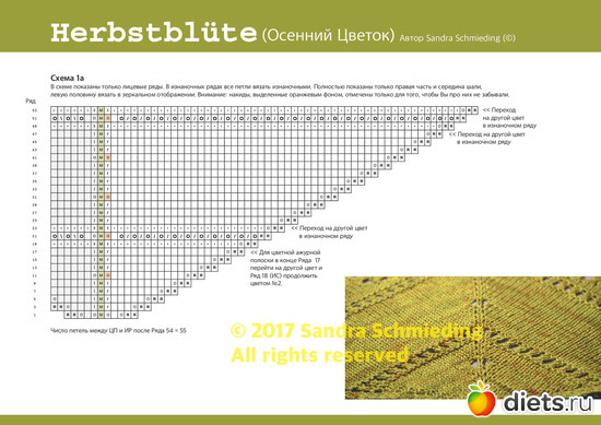 5 ����: �������� ������ ��  Sandra Schmieding