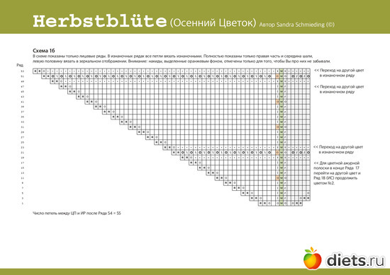 6 ����: �������� ������ ��  Sandra Schmieding