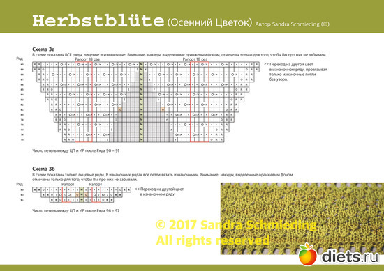 8 ����: �������� ������ ��  Sandra Schmieding