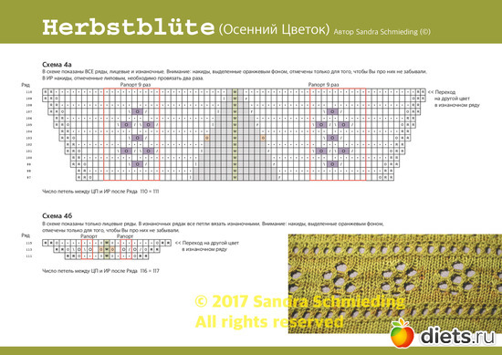 9 ����: �������� ������ ��  Sandra Schmieding