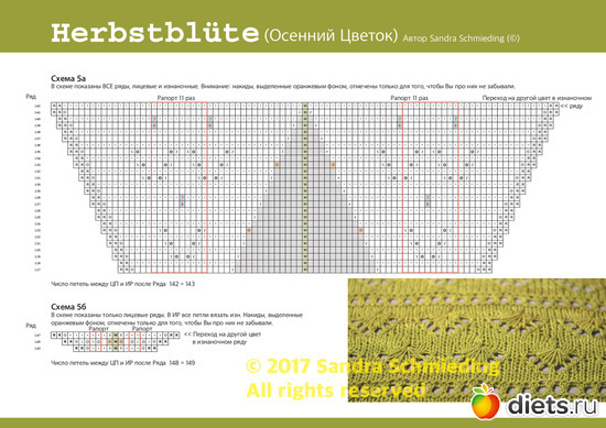 10 ����: �������� ������ ��  Sandra Schmieding