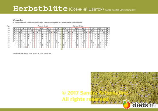 11 ����: �������� ������ ��  Sandra Schmieding