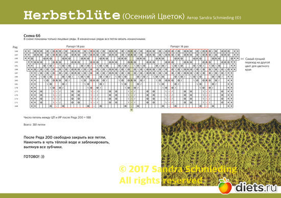 12 ����: �������� ������ ��  Sandra Schmieding