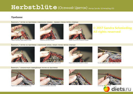 13 ����: �������� ������ ��  Sandra Schmieding