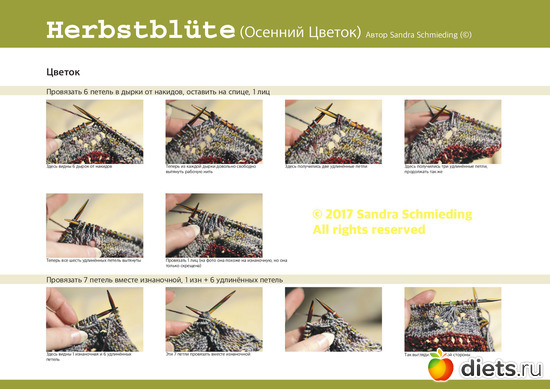 15 ����: �������� ������ ��  Sandra Schmieding