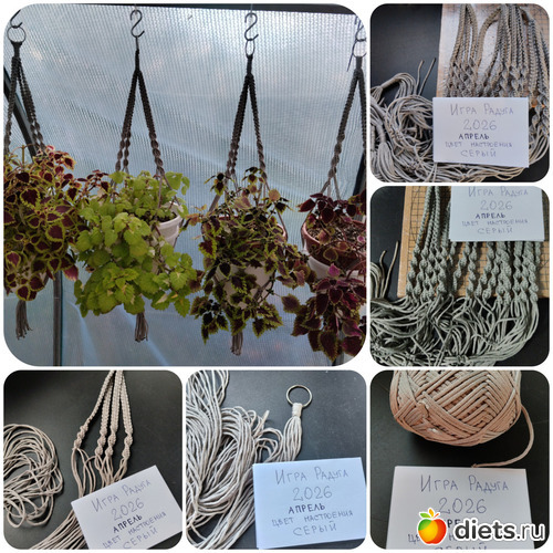 3 ����: ������ 2026 ������