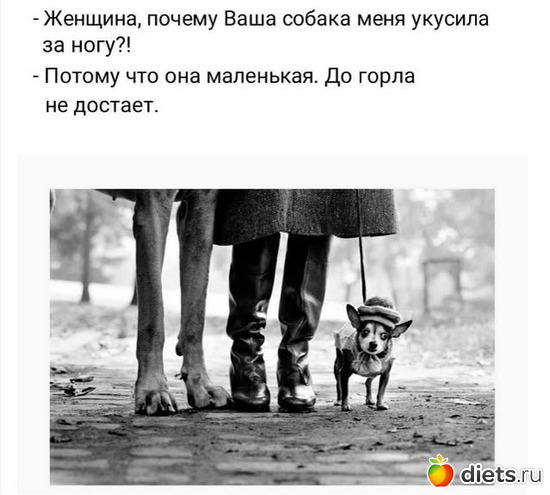 1 ����: �����