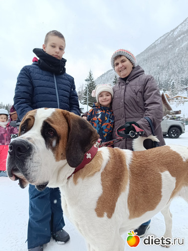 ������� � ����������, ������: 2026