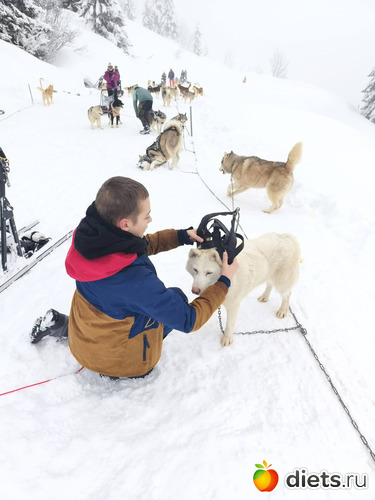 ����� � �����, ������: 2026