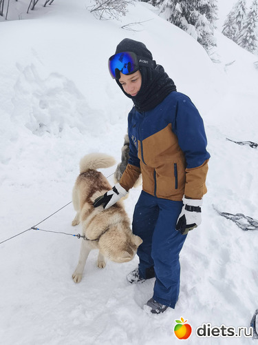 �����, ������: 2026