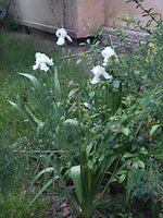 20 ������