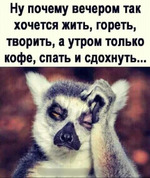 � �������������, ������!