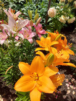 ��� ��� �� ���...����� ����, ����� ���������!!!