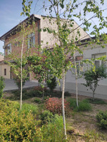 21 ������ ������� ������� ������ ��������