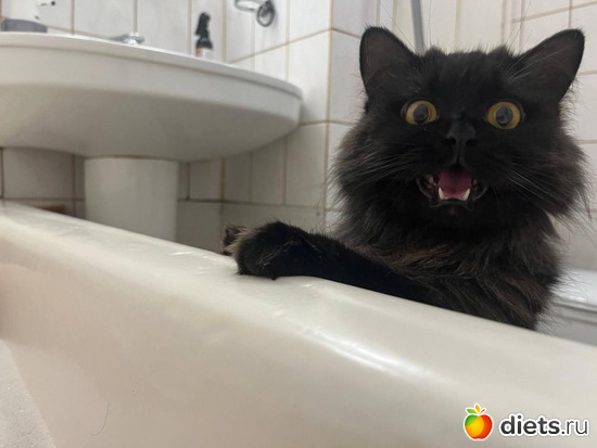 27 ����: ��� �������!