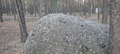 в лесу огромные камни