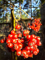 �������� � ������