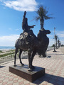 красавец верблюд