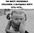 ���-�� ��������