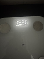 24 ������� 2026