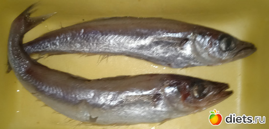 рыба путассу, альбом: продукты